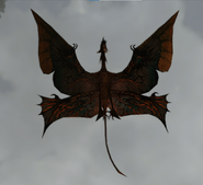 A stingbat from the Clouded Forest region of the Western Frontier, seen from below.