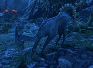 A young meer deer at night, showing off its bioluminescent pattern.