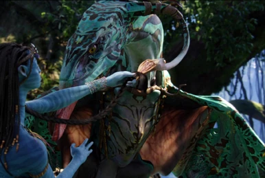 Mating | Avatar Wiki