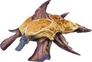 Juvenile Male Turtapede in A Visual Exploration
