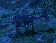 A meer deer at night, showing off its bioluminescent pattern.