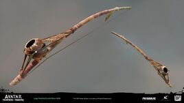 Small Musical Bow