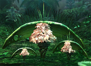 Theburite