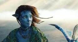 Kiri taking a final look at their forest.