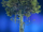 Twisted Scale Tree