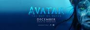 Avatar TWoW Banner