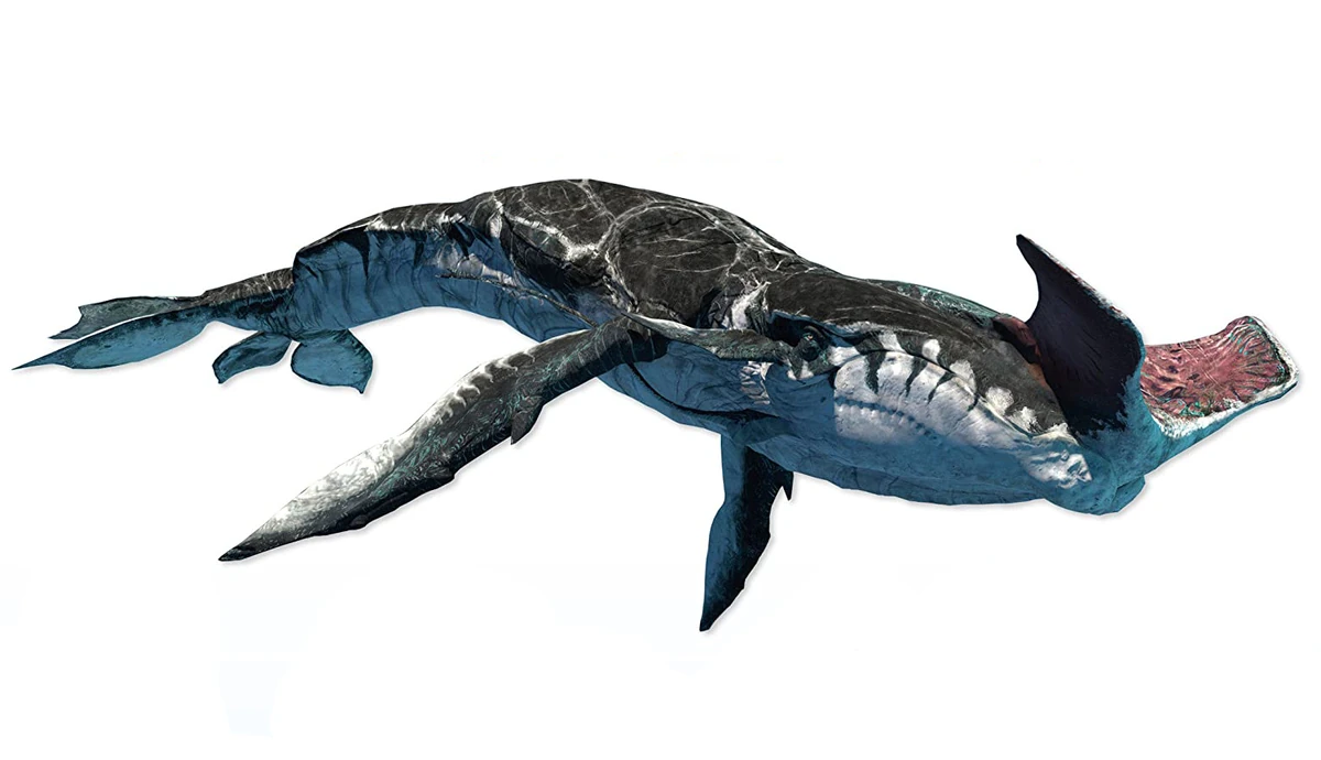 CategoryAquatic creatures Avatar Wiki Fandom