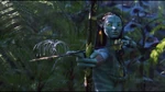In Avatar