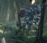 A gigantic fiddlehead seen in the first film