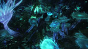 Biolumineszenz2