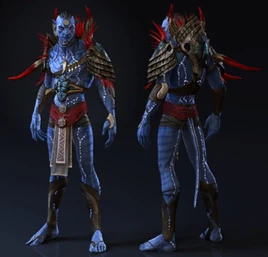 Nawm Armor