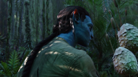 A puffer seen in the film