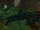 Haway .jpeg
