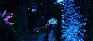 A kite manta at night