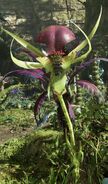 Mantis Orchid in Avatar: Frontiers of Pandora