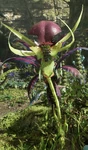 Mantis orchid in Avatar: Frontiers of Pandora