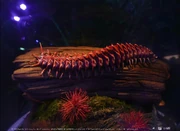 Creepycrawler discoverpandora
