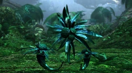 Dakteron