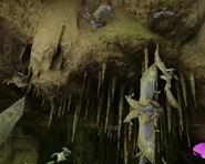 Hatchling in a cave