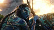 Neytiri 25 HD