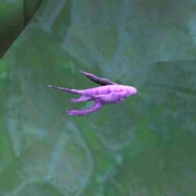 Fish Creature 1