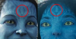 Grace and Kiri's markings.