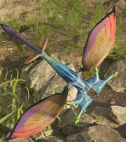 Flying Lily Day