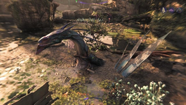 Zomey bug