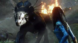 A thanator offers itself to Neytiri.