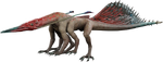 Wetland Viperlizard