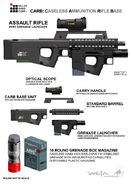 Original CARB Assault Rifle concept