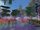 IMG 1664.jpeg