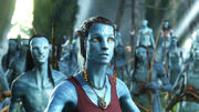 Grace Avatar