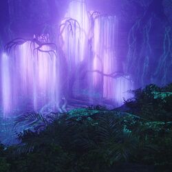 Pandora locations outlet