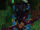 IMG 0703.jpeg