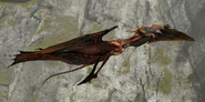 A stingbat from the Clouded Forest region of the Western Frontier, seen from the side.