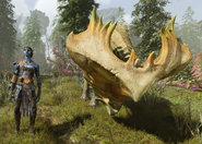 A young bone helm rhino from the front with a Na'vi next to it for scale.