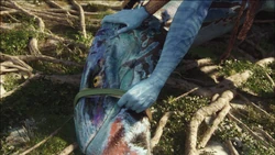 A banshee catcher in use.