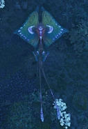 A kite manta from above at night, showing off its bioluminescence pattern