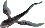 Glider Fiin Fish