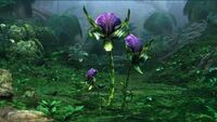 Seen in Avatar: The Game