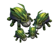 Atlas Beetle