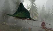 A kite manta from the side