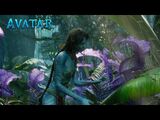 Planet Pandora