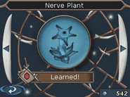 Nerve Plant