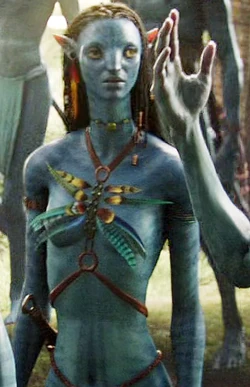 Neytiri special outfit