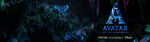 Twitter banner