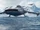 S-76 SeaDragon