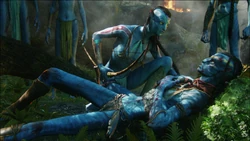 Saeyla finds a wounded Tsu'tey.