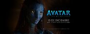 Avatar TWoW Neytiri Banner